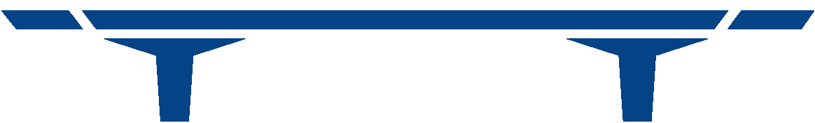 ZSK Stara Zagora logo